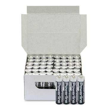 Piles alcalines Panasonic Industrial Powerline LR03/AAA - Vrac - 48 Pcs.